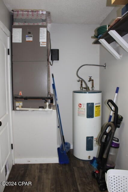 utility room with electric water heater