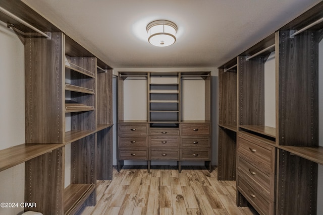 walk in closet featuring light hardwood / wood-style flooring