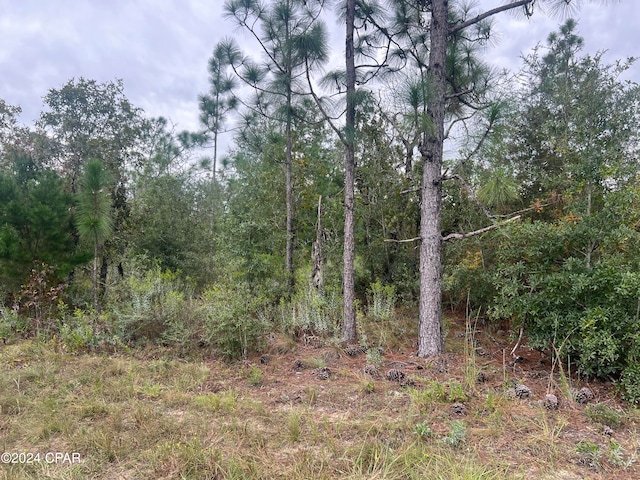 000 NW Barksdale Ln, Fountain FL, 32438 land for sale