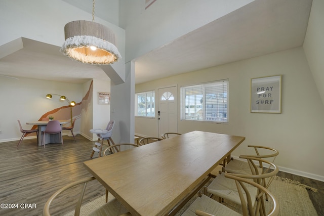 dining space featuring dark hardwood / wood-style flooring