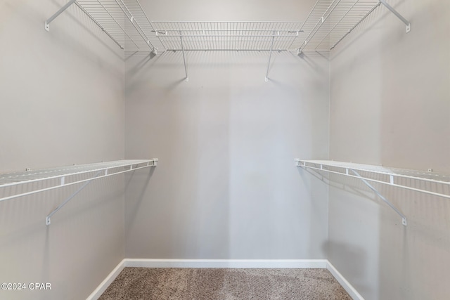 1300 Alabama Ave, Lynn Haven, FL 32444 - walk in closet with carpet flooring