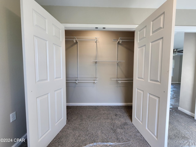 view of closet