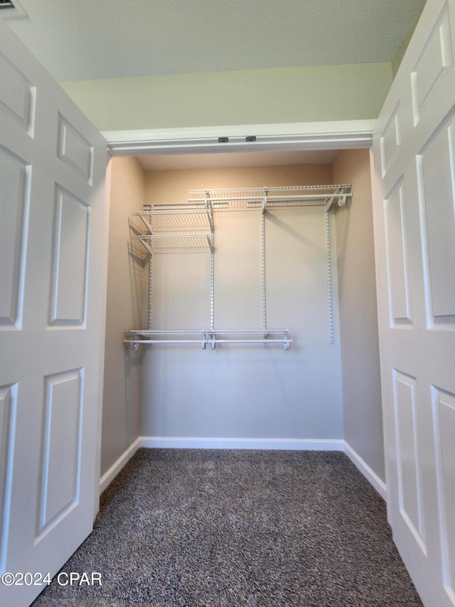 walk in closet featuring carpet