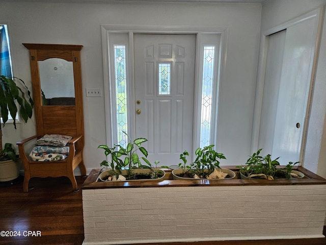 foyer entrance featuring dark wood-type flooring