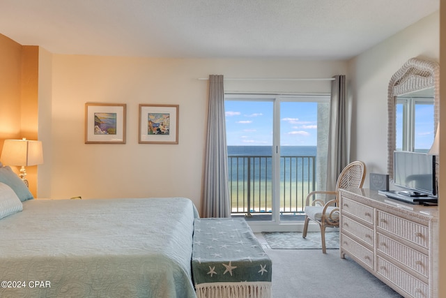 4425 Thomas Dr Unit 707, Panama City, FL 32408 - bedroom with carpet and access to exterior
