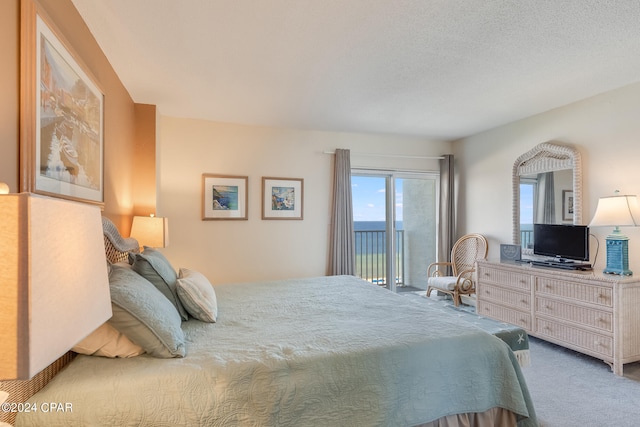4425 Thomas Dr Unit 707, Panama City, FL 32408 - carpeted bedroom with access to outside
