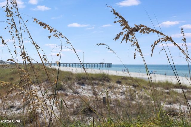 property view of water featuring a beach view