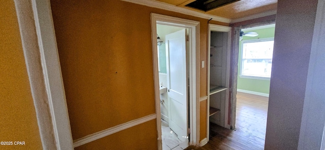 hallway featuring hardwood / wood-style flooring and crown molding