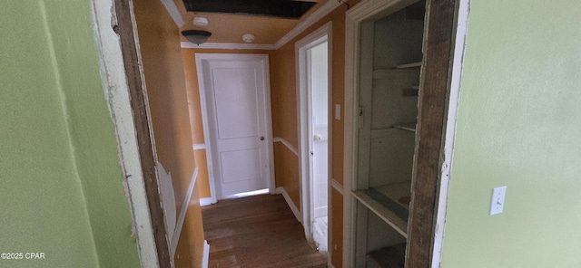 corridor featuring dark hardwood / wood-style floors