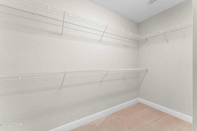 walk in closet featuring light colored carpet