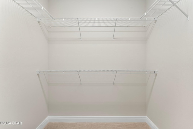 walk in closet featuring carpet flooring