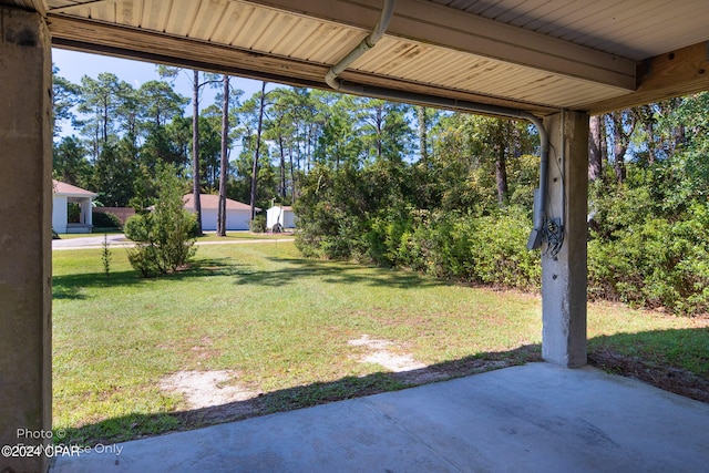 view of yard featuring a patio area