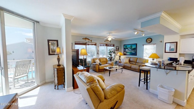 carpeted living room with crown molding and ceiling fan