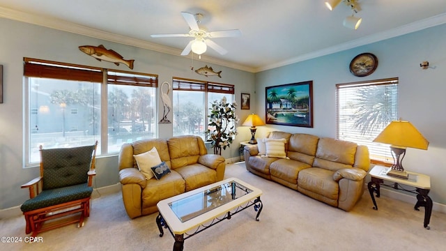 carpeted living room with ceiling fan and ornamental molding