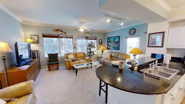 interior space with rail lighting, ornamental molding, sink, and ceiling fan