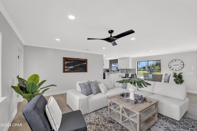 living room with sink, crown molding, light hardwood / wood-style flooring, and ceiling fan