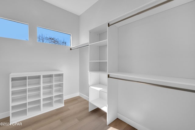 spacious closet with light hardwood / wood-style flooring