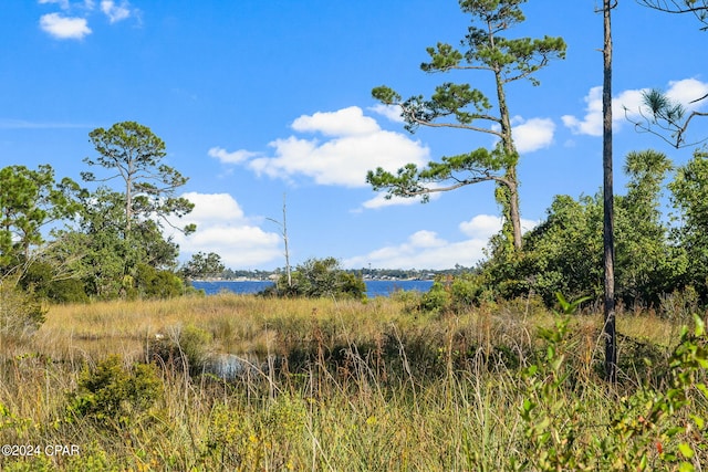 view of nature with a water view