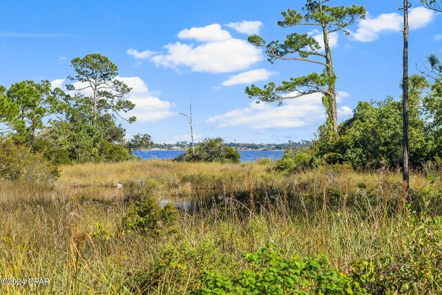 view of nature featuring a water view