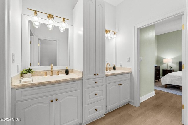 bathroom with wood-type flooring and vanity