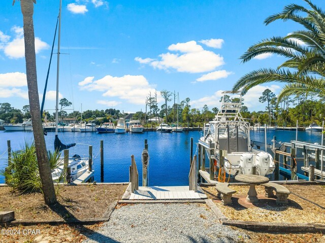 dock area with a water view