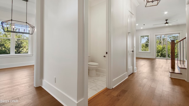 hall with a notable chandelier and hardwood / wood-style floors