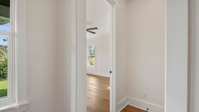 corridor featuring ornamental molding and wood-type flooring