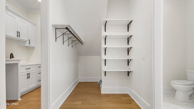 walk in closet featuring light wood-type flooring