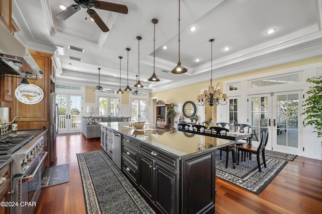 kitchen featuring french doors, stainless steel appliances, a tray ceiling, dark wood-type flooring, and a center island