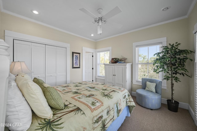 bedroom featuring carpet flooring, ceiling fan, and crown molding