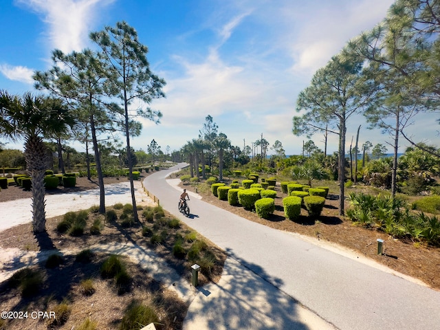 view of surrounding community