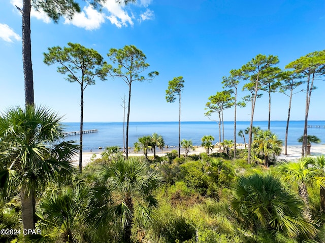 property view of water with a view of the beach