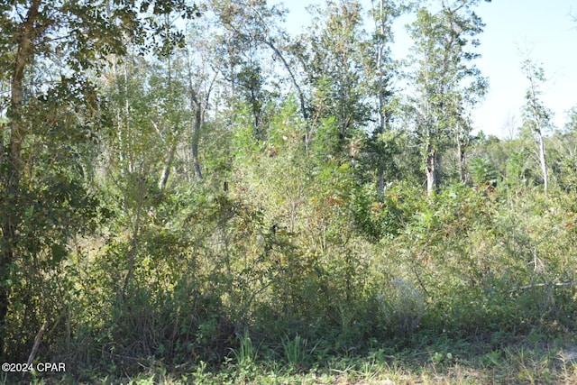 Listing photo 2 for 10450 River Alley Rd, Youngstown FL 32466