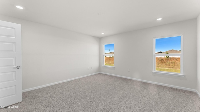 spare room featuring carpet flooring and plenty of natural light