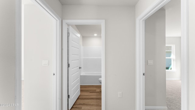 hallway featuring hardwood / wood-style floors