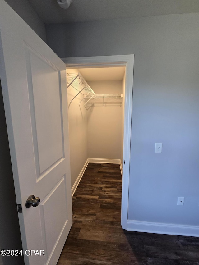 spacious closet with dark hardwood / wood-style floors