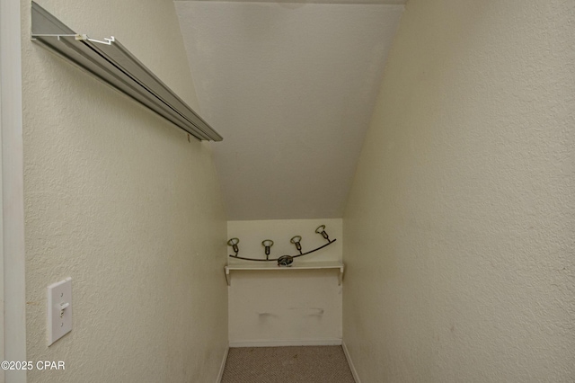 spacious closet with carpet flooring