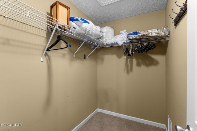 spacious closet featuring carpet floors