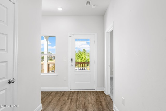 entryway with hardwood / wood-style floors