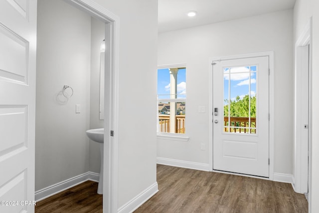 entrance foyer featuring wood-type flooring