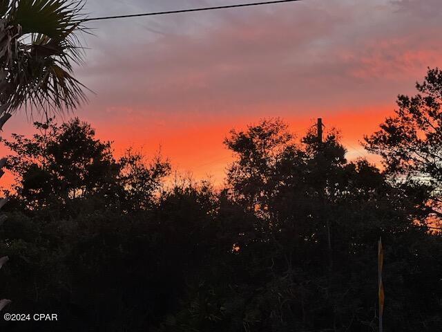 view of nature at dusk