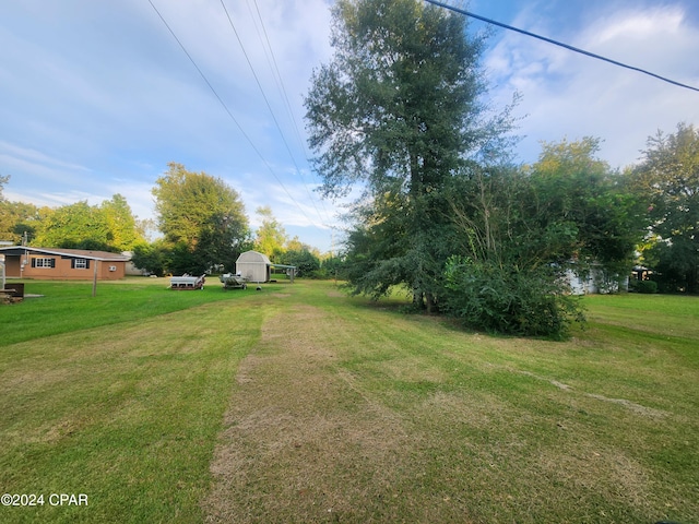 view of yard featuring a storage shed