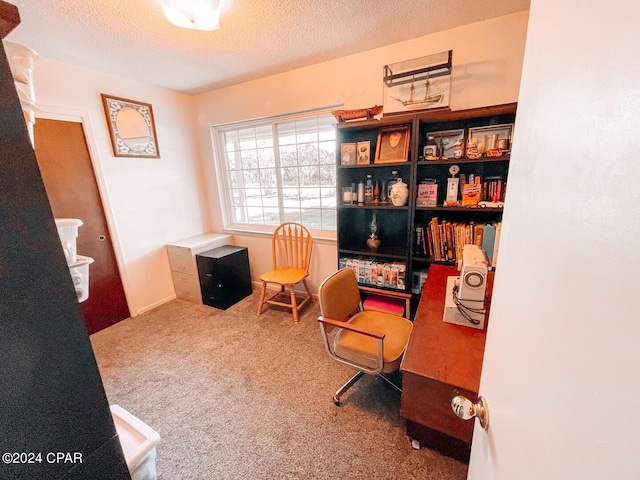 living area featuring carpet and a textured ceiling