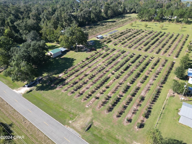 aerial view featuring a rural view