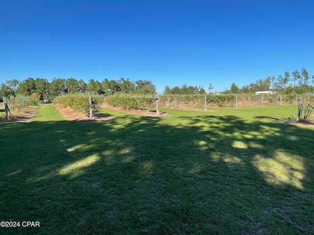 view of yard featuring a rural view