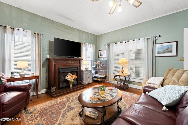 living room with ceiling fan and hardwood / wood-style floors