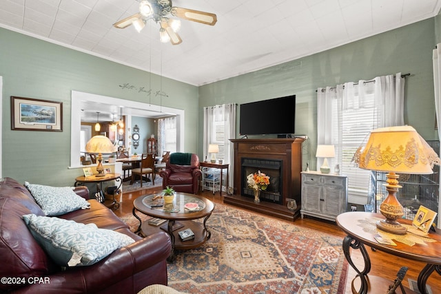 living room featuring ceiling fan and wood-type flooring