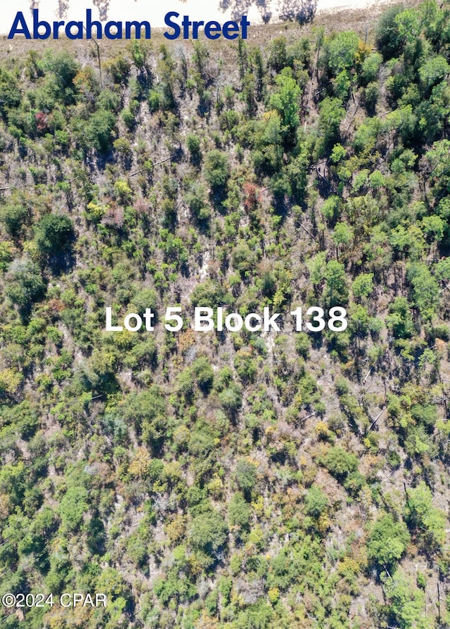 Listing photo 3 for 138 Abraham St Lot5 Blk, Alford FL 32420