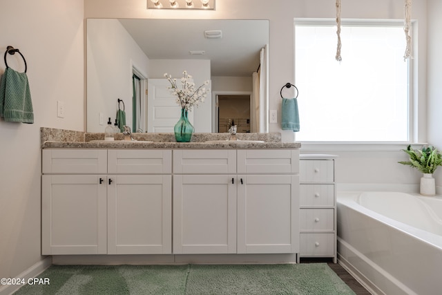 bathroom featuring vanity and a bathing tub