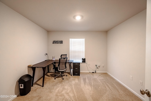 home office featuring light colored carpet